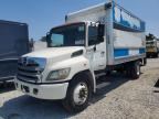 2013 HINO 258/268