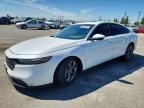 2023 HONDA ACCORD