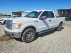 2010 FORD F150