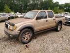 2001 TOYOTA TACOMA