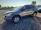 2010 HONDA CR-V