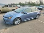 2026 TOYOTA COROLLA HYBRID