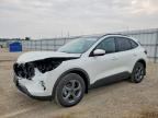 2026 FORD ESCAPE