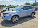 2010 HONDA CR-V