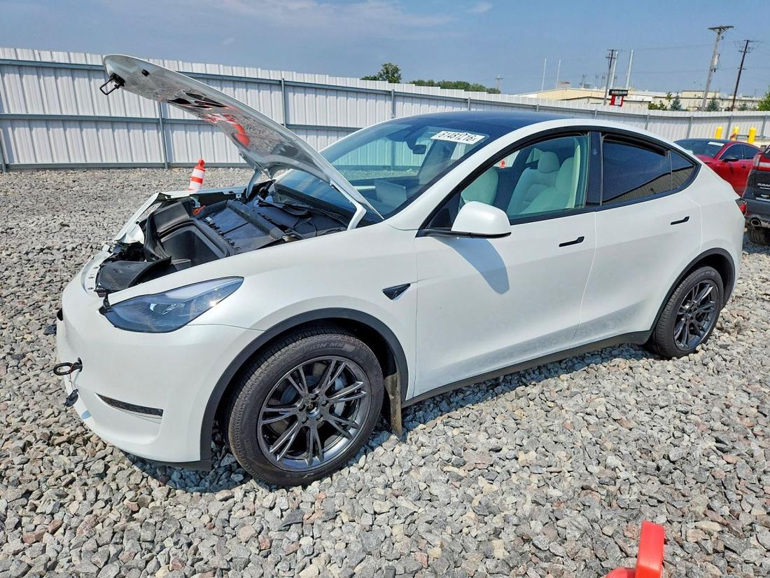 2024 TESLA MODEL Y