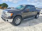 2013 FORD F150