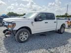 2023 FORD F150