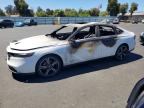2023 HONDA ACCORD