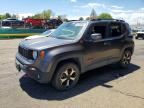 2019 JEEP RENEGADE