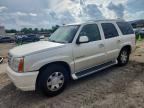 2005 CADILLAC ESCALADE