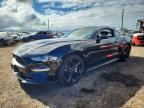 2023 FORD MUSTANG