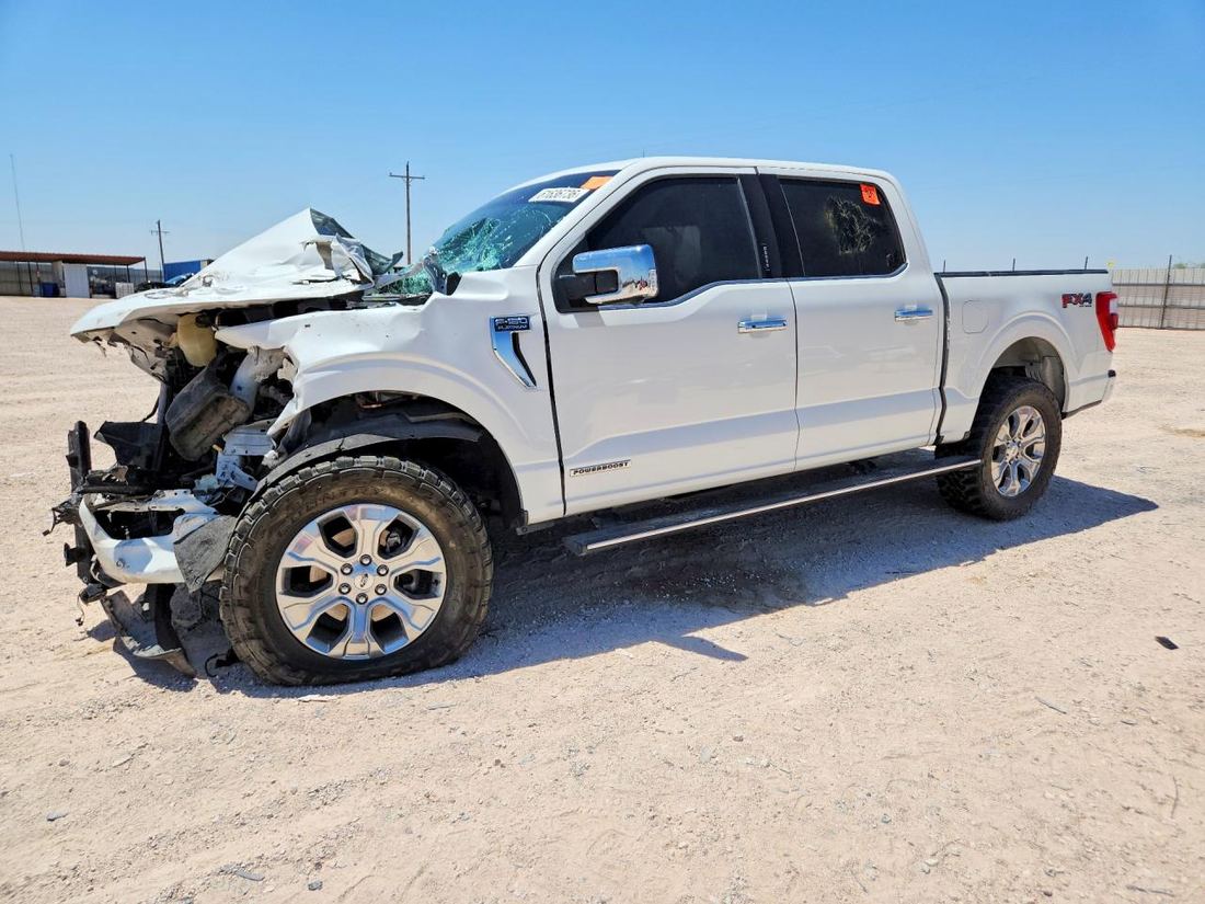 2023 FORD F150
