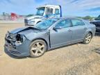 2009 CHEVROLET MALIBU