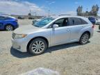 2010 TOYOTA VENZA