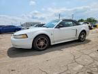 1999 FORD MUSTANG