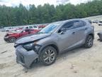 2021 LEXUS NX 300