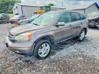 2010 HONDA CR-V