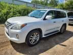 2013 LEXUS LX