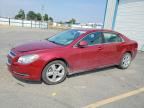 2010 CHEVROLET MALIBU