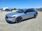 2025 HONDA ACCORD