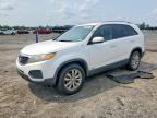 2011 KIA SORENTO