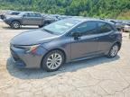 2024 TOYOTA COROLLA HATCHBACK