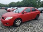 2010 TOYOTA COROLLA
