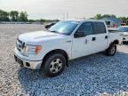 2013 FORD F150