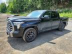 2024 TOYOTA TUNDRA