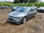 2025 CHEVROLET MALIBU