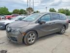 2018 HONDA ODYSSEY