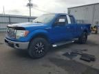 2010 FORD F150