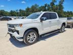 2023 CHEVROLET SILVERADO