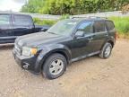 2011 FORD ESCAPE
