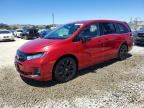 2025 HONDA ODYSSEY