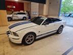 2005 FORD MUSTANG