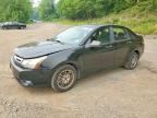 2010 FORD FOCUS