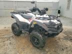 2025 TGB BLADE 600 SLX