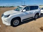 2022 LEXUS GX