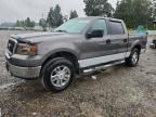 2006 FORD F150