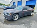 2013 DODGE CHARGER