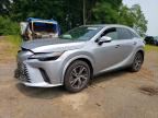 2025 LEXUS RX 350