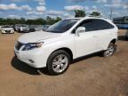 2010 LEXUS RX