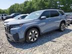 2026 HONDA PILOT