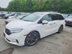 2023 HONDA ODYSSEY