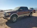 2010 FORD F150