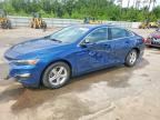 2019 CHEVROLET MALIBU