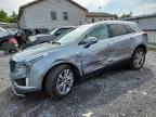 2024 CADILLAC XT5
