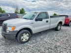 2009 FORD F150