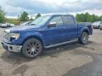 2010 FORD F150
